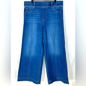 SPANX Seamed Front Wide Leg Pull-on Jeans Vintage Indigo Denim  2XL Boho Coastal